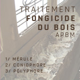 traitement-fongicide-du-bois-apbm