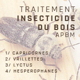 traitement-insecticide-du-bois-apbm